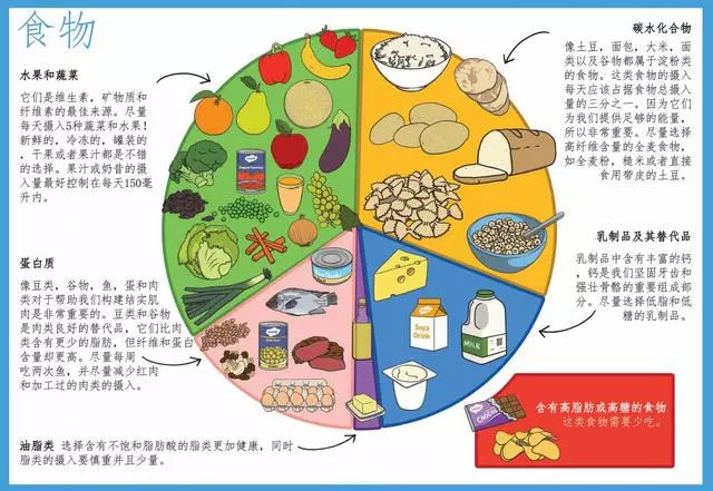 一张图囊括了小学生都需要的关于“食物”的英语单词和分类哦!